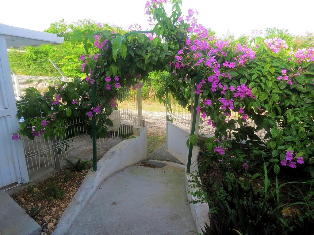 Bungalow Soleil ساينت آن المظهر الخارجي الصورة